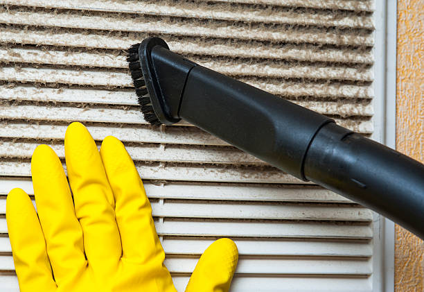 Best Ductwork Cleaning Services  in Argos, IN