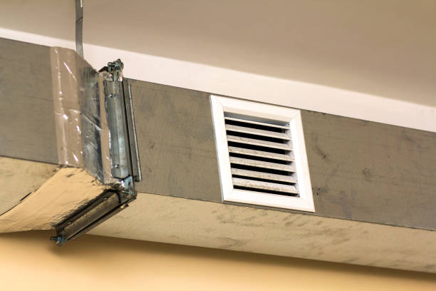 Best Dryer Vent Cleaning Services  in Argos, IN